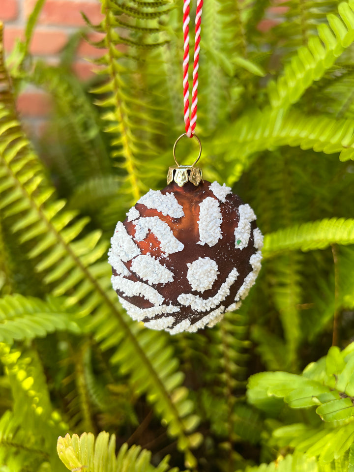 Conchas Ornament