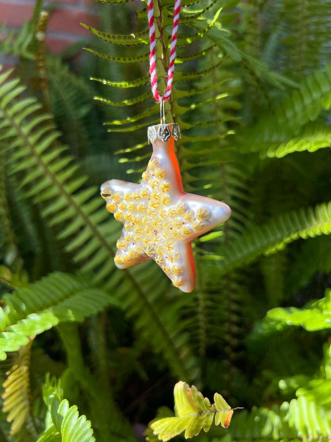 Sugar Cookie Ornament