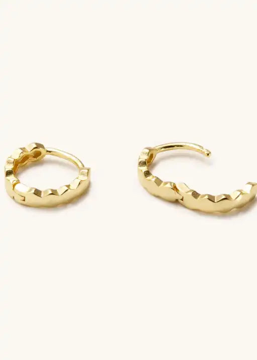 Leo Disk Earrings - Gold